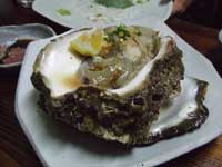 オタコンの牡蠣