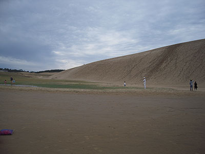 でっかい砂丘…と草